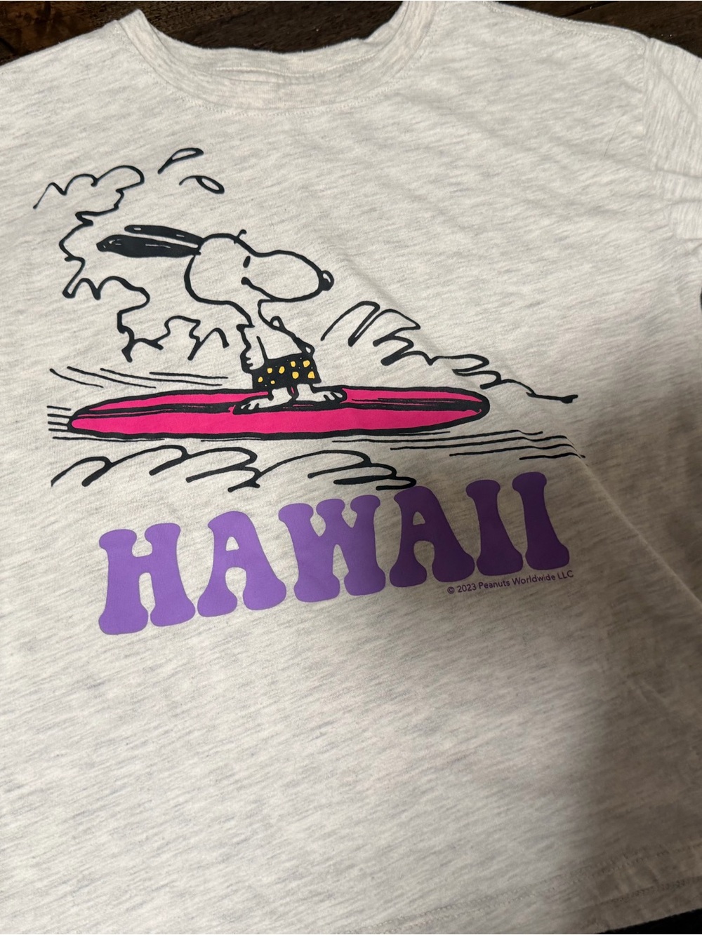 GAP White Heather Tee with Snoopy Hawaii Surf Graphic